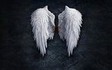 Angel Wings Picture
